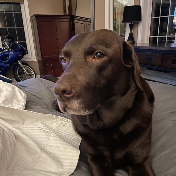 Meet your Posher, Nick - Picture 1 of 1